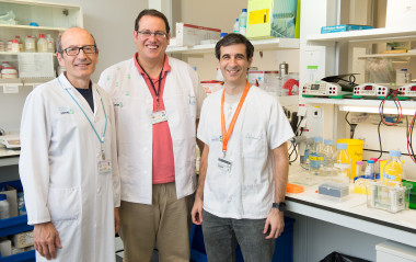 <p>Equipo de investigadores del proyecto <em>Nuevas armas contra los tumores ependimarios </em>liderado por Daniel García Ovejero</p>