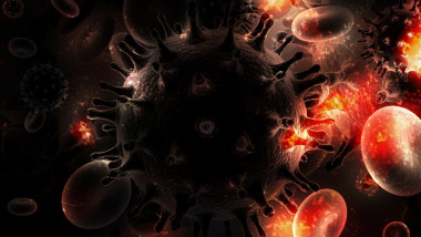 <p>Los monos del experimento que recibieron una combinación triple de anticuerpos quedaron protegidos contra el virus de inmunodeficiencia simia, emparentado con el VIH en humanos. / <a href="https://pixabay.com/es/vih-sida-virus-enfermedad-de-salud-1903373/" target="_blank">Pixabay</a></p>