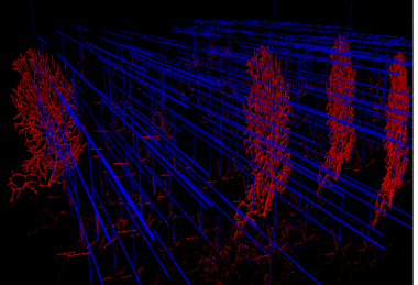 <p>Modelo del cerebelo. / <a href="https://www.humanbrainproject.eu/en/brain-simulation/cerebellum/" target="_blank">HBP</a></p>