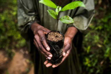 <p>Empoderar a los pueblos indígenas será clave para la conservación de ecosistemas / Joan de la Malla</p>