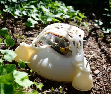 <p>En el campo, el robot podría saltar y moverse así de forma eficaz alrededor de los obstáculos. / Laboratorio de microrobótica de Harvard </p>