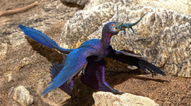 Ilustración del Microraptor que se traga lagarto