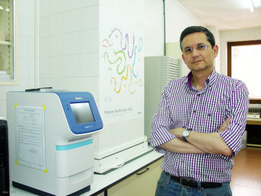 <p>Rogelio González Sarmiento, investigador en el CIC. / DICYT</p>