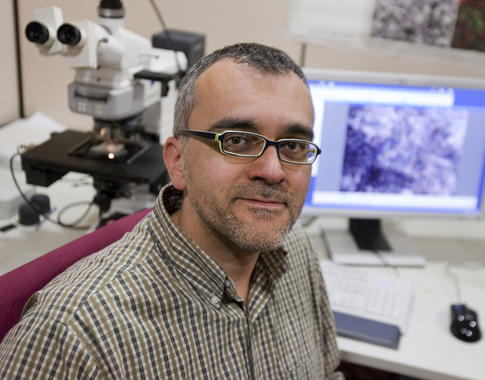 <p>El astrofísico Josep M.Trigo en su laboratorio. Imagen: Robert Ramos.</p>