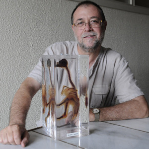 <p> Gustavo A. Llorente, profesor del Departamento de Biología Animal de la Universidad de Barcelona.</p>