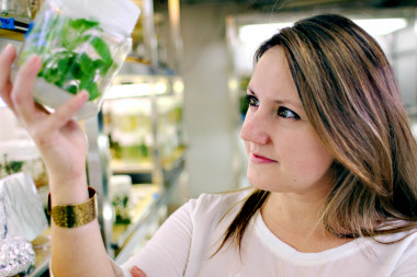 <p>Selena Giménez-Ibáñez en la zona de cultivo in vitro de plantas del CNB. / Julio Hernández</p>