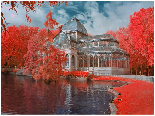 14. Palacio Cristal Retiro infrarrojo de 740 nm