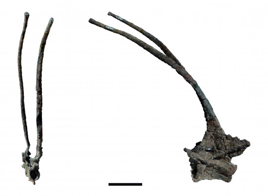 4-vertebra-cervical-de-frente-y-de-lado_imagelarge.jpg