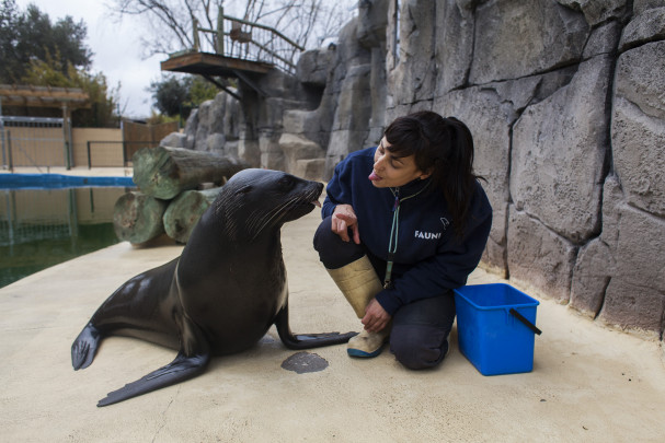 Así Es Un Día Entre Cuidadores De Animales Salvajes