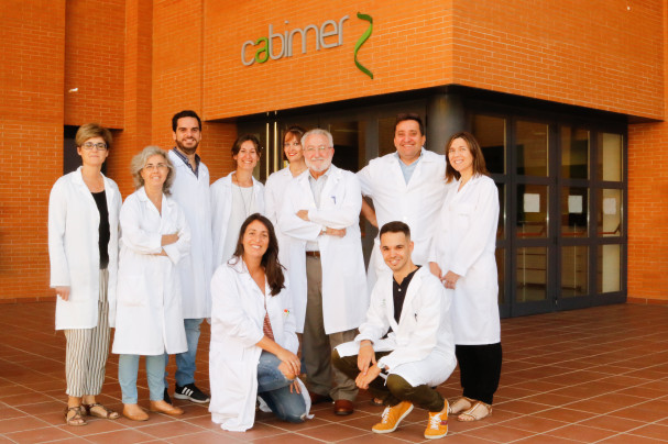 Un equipo de investigación liderado por Vivian Capilla-González estudia las complicaciones neurológicas del tratamiento del cáncer infantil