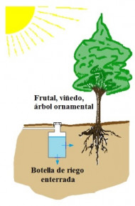 Botella rezumadora