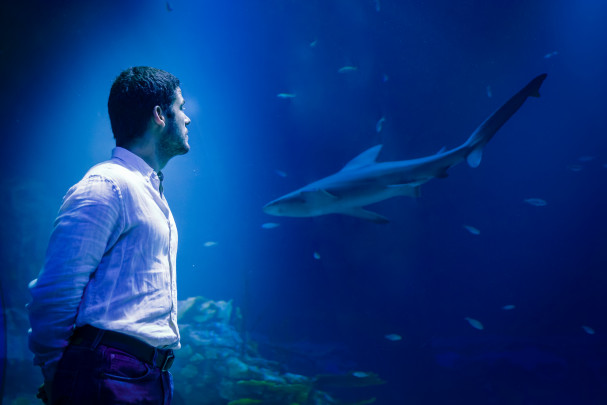 Dean frente al acuario de tiburones