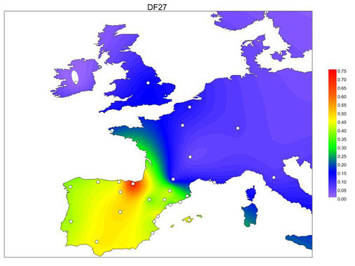 El-40-de-los-varones-espanoles-y-portugueses-desciende-de-un-antepasado-comun_image_380