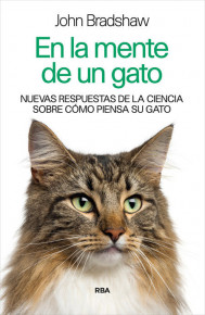 mente gato