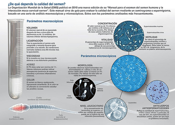 infografÃ­a