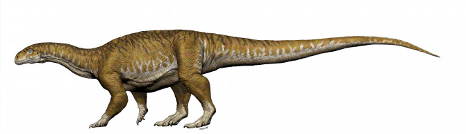 La dinosauria gigante más antigua Ingentia-prima-reconstruccion_image671_405