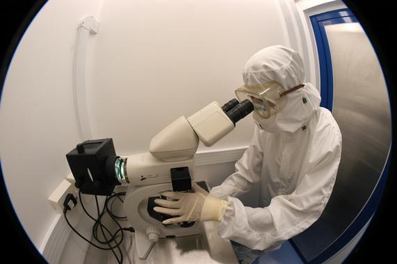 Laboratorio del Instituto de Ciencias Biomédicas_Sao paulo_FAPESP