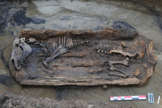 Tumba de caballo excavada en el yacimiento de Boulgouniakh, distrito de Suntarsky, Yakutia / Patrice Gérard.