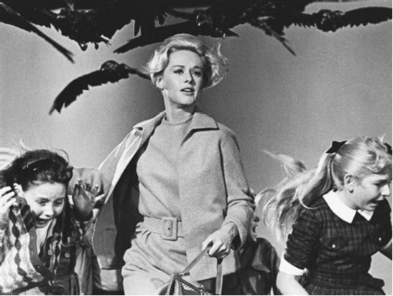 Fotograma de la película Los pájaros