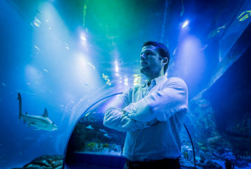 nacho_dean nacho_dean