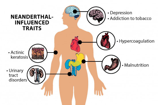 neardental, infografía