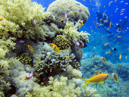 Parque Nacional de Ras Mohammed