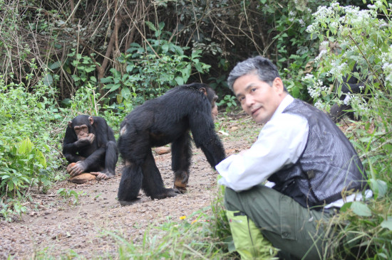 Tetsuro Matsuzawa en Guinea / Universidad de Kioto