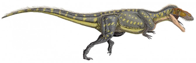 Torvosaurus_tanner_DBi (1)
