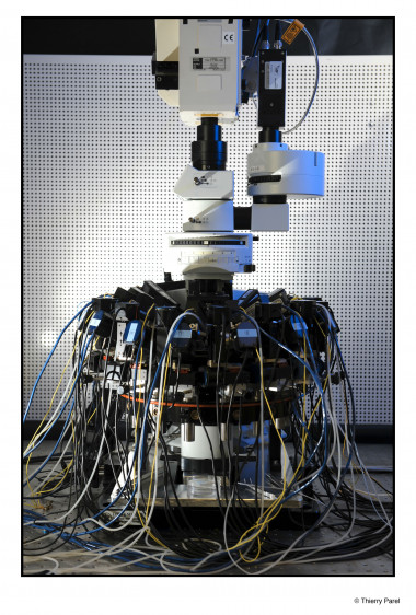 <p>Experimento que utiliza la tecnología electrofisiológica ‘Patch calmp’ en el que se ha grabado el comportamiento eléctrico de hasta 12 neuronas a la vez. / EPFL / Thierry Parel</p>