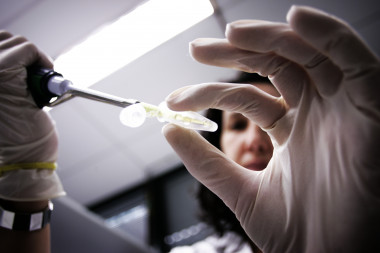 <p>La comisaria europea Máire Geoghegan-Quinn ha anunciado esta semana una inversión de 7.000 millones de euros para impulsar la innovación en Europa a través de la investigación.</p>