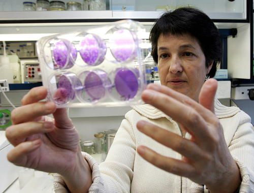 <p>En la imagen, la investigadora del Centro Nacional de Biotecnología, Amelia Nieto, en su laboratorio. / EFE</p>