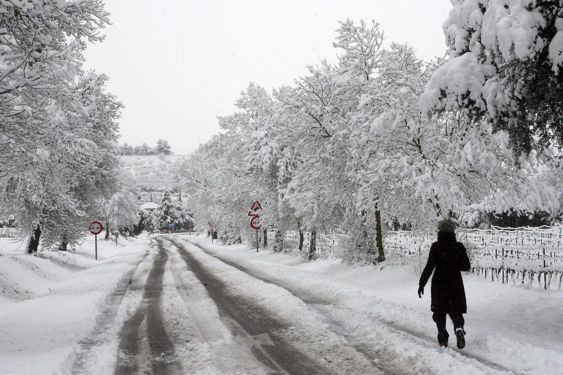 Cómo predecir nevadas extremas en España Fotografías Multimedia SINC