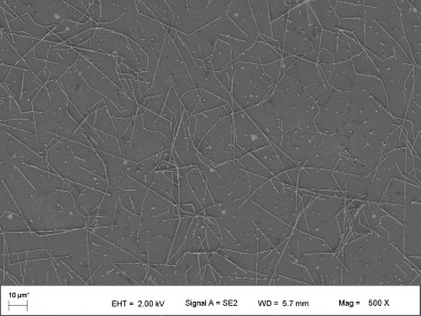 <p>Red conductora de nanoanillos de plata observada al microscopio electrónico de barrido. Foto: ITMA.</p>