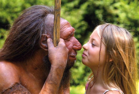 <p>Una niña observa una reproducción de un neandertal./ Neanderthal Museum</p>