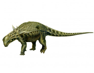 <p>Reconstrucción del dinosaurio acorazado más completo de Europa (Ariño, Teruel). / Lukas Panzarin</p>