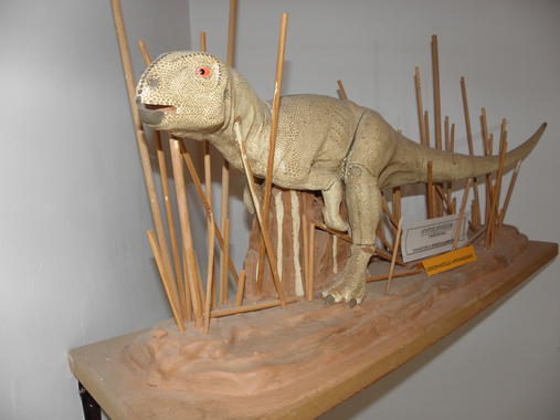 <p>Reconstrucción de <em>Gideonmantellia</em> en el Museo de Galve. Imagen: José Manuel Gasca / Aragosaurus.</p>