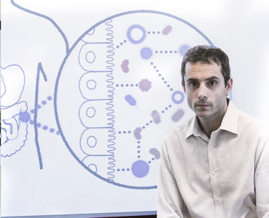 <p>Bernat Ollé estudia el microbioma para diseñar medicamentos a base de microbios vivos. / David Brazier</p>