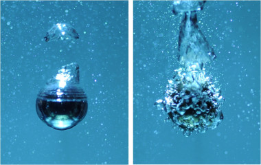 <p>La esfera de la izquierda está envuelta en una lámina de vapor por el efecto Leidenfrost, mientras que la derecha está en la fase de ebullición nucleada con producción de burbujas. Imagen: Ivan Vakarelski.</p>