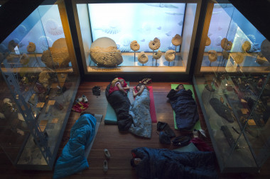 <p>Cada viernes, dos grupos de niños entre 8 y 12 años llevan sus sacos y esterillas hasta el Museo Nacional de Ciencias Naturales de Madrid. / SINC</p>