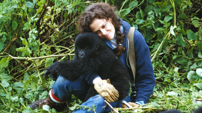 <p><em>Gorillas in the Mist: The Story of Dian Fossey</em> (1988), basada en la historia real de la naturalista estadounidense Dian Fossey y su trabajo con los gorilas en África. / Universal Pictures</p>