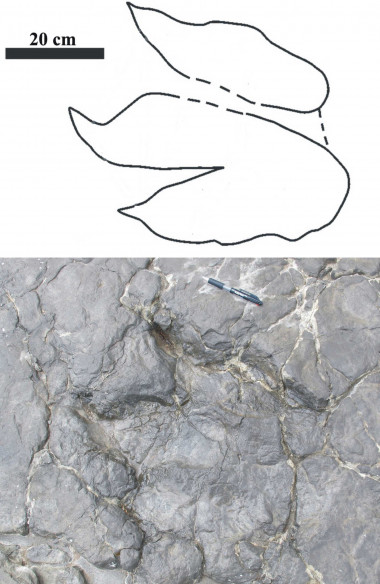 <p>Una de las huellas de <em>Iberosauripus grandis</em> (original y silueta) en el yacimiento El Castellar (Teruel).</p>
