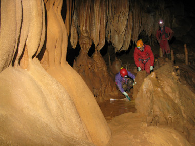 <p>Interior de la cueva de Goikoetxe, Vizcaya, donde fue encontrada la nueva especie. (Carlos Puch) </p>