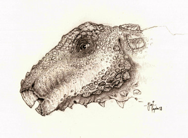 <p>Reconstrucción de la cabeza del dinosaurio acorazado más completo de Europa (Ariño, Teruel). Daniel Ayala</p>