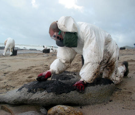 <p>El manejo errático del <em>Prestige </em>de norte a sur desde el accidente hasta su hundimiento amplificó la contaminación. Imagen: Stéphane M. Grueso</p>