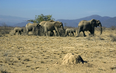 <p>Las zonas áridas cubren el 41% de la superficie terrestre y son muy vulnerables al cambio climático y a la desertificación. Imagen: Vicente Polo.</p>