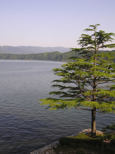 <p>Lago Suigetsu en Japón. Imagen: Christopher Ramsey.</p>