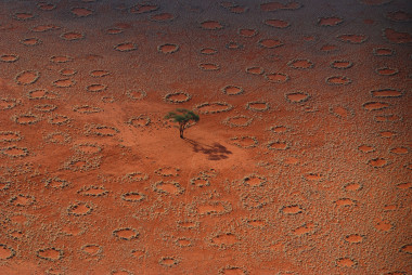 <p>Los círculos de hadas del desierto se forman por la acción de las termitas. / N. Juergens</p>