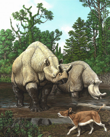<p>Los cambios de temperatura inlfuyen en la evolución de los mamíferos durante los últimos 65 millones de años. Ilustración: Carl Buell.</p>
