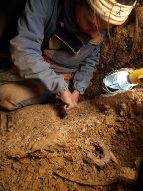 <p>Nuria García excavando restos del Ursus deningeri en la Sima / (c) Javier Trueba (Madrid Scientific Films)</p>