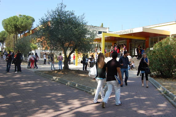 <p>Del total de encuestados, tan solo un 28% había cursado asignaturas con contenidos relativos a violencia de género. Foto: SINC.</p>